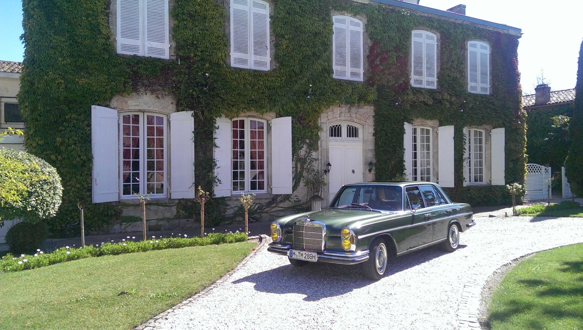 Olive vor dem Haus des Erstbesitzers - Chateau Lichine-Prieure